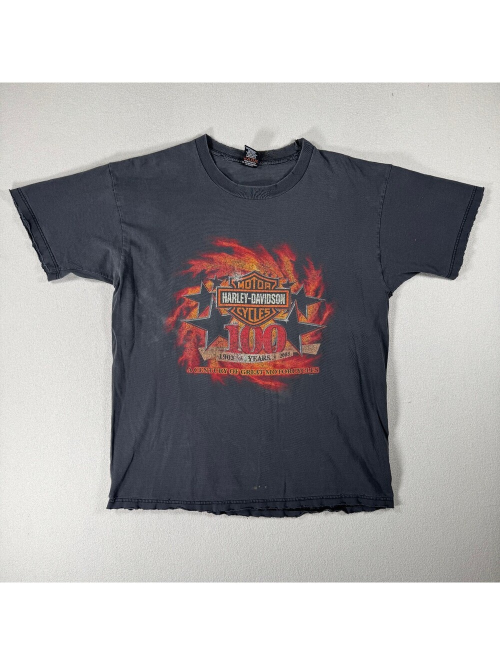 Vintage Harley-Davidson Roma Italy Super Faded 100 Years T-Shirt 2002